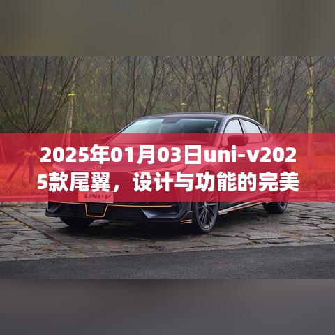 uni-v2025新款尾翼，設(shè)計與功能融合典范