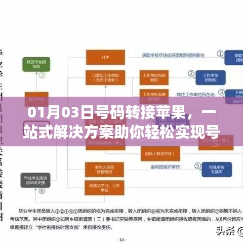 蘋果號碼轉(zhuǎn)移一站式解決方案，輕松實現(xiàn)轉(zhuǎn)接