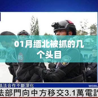 緬北行動，一月頭目抓捕行動回顧