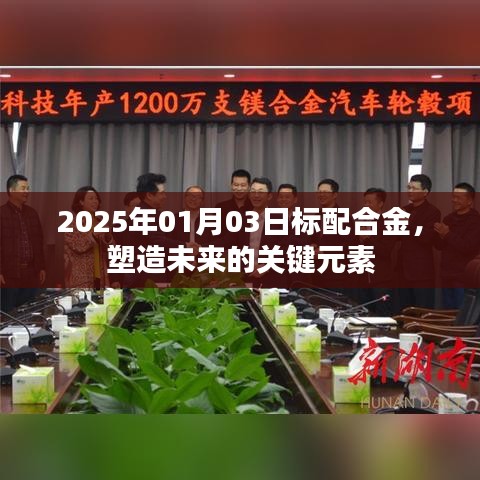 標(biāo)配合金，塑造未來(lái)關(guān)鍵元素，2025年展望