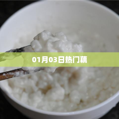 藕的熱門資訊，最新動態(tài)一網(wǎng)打盡（01月03日）