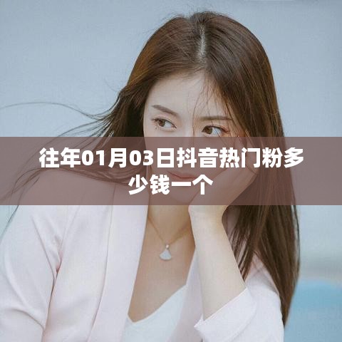 抖音熱門粉絲價(jià)格查詢，日期與價(jià)格揭秘