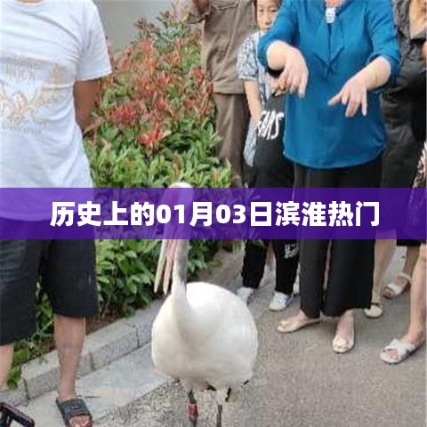 濱淮熱門(mén)事件回顧，歷史上的1月3日