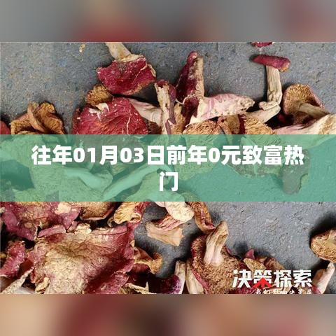 「歷年致富熱門回顧，年前零元起步熱門商機(jī)」