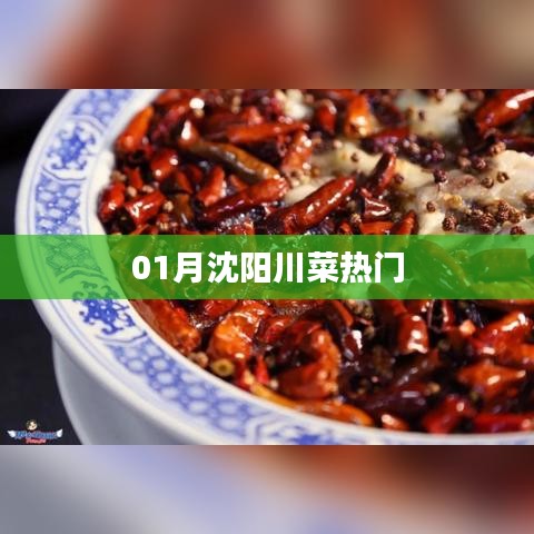 沈陽一月川菜熱門榜單