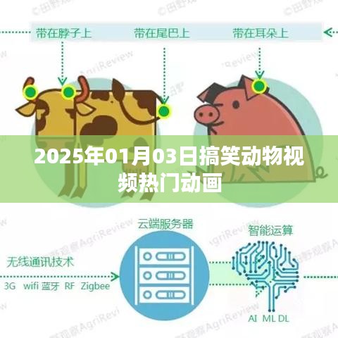 2025年搞笑動(dòng)物視頻盛宴，熱門動(dòng)畫歡樂來襲