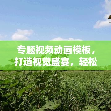 專題視頻動畫模板，打造視覺盛宴，輕松吸引眼球！