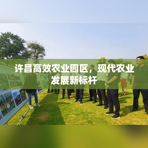 許昌高效農(nóng)業(yè)園區(qū)，現(xiàn)代農(nóng)業(yè)發(fā)展新標桿