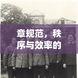 章規(guī)范，秩序與效率的保障基石