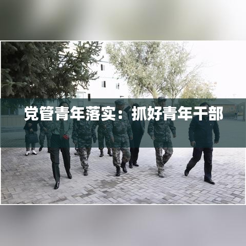 黨管青年落實：抓好青年干部 
