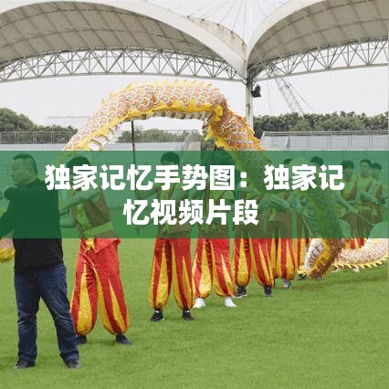 獨家記憶手勢圖：獨家記憶視頻片段 