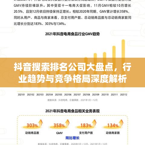 抖音搜索排名公司大盤點(diǎn)，行業(yè)趨勢與競爭格局深度解析