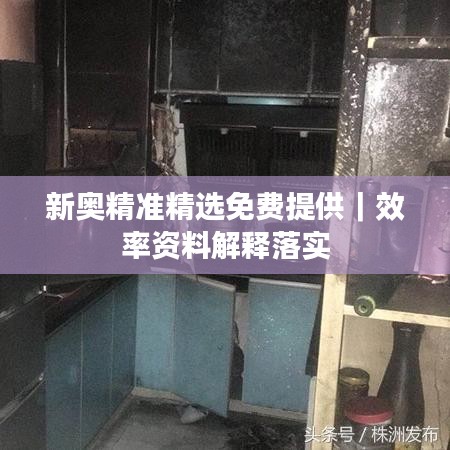 新奧精準(zhǔn)精選免費提供｜效率資料解釋落實