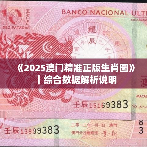 《2025澳門精準(zhǔn)正版生肖圖》｜綜合數(shù)據(jù)解析說(shuō)明