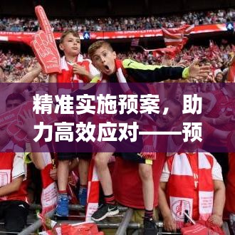 精準(zhǔn)實(shí)施預(yù)案，助力高效應(yīng)對(duì)——預(yù)案實(shí)施建議深度解讀