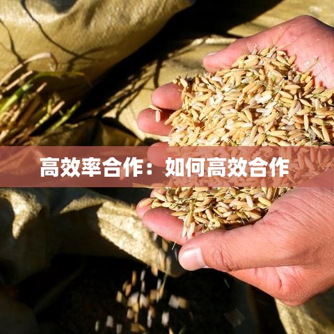 高效率合作：如何高效合作 