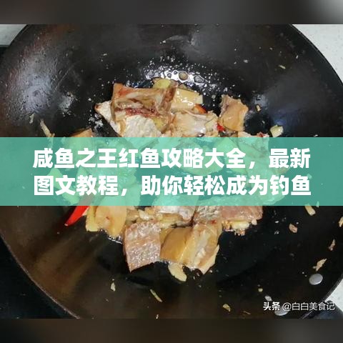 咸魚(yú)之王紅魚(yú)攻略大全，最新圖文教程，助你輕松成為釣魚(yú)達(dá)人！