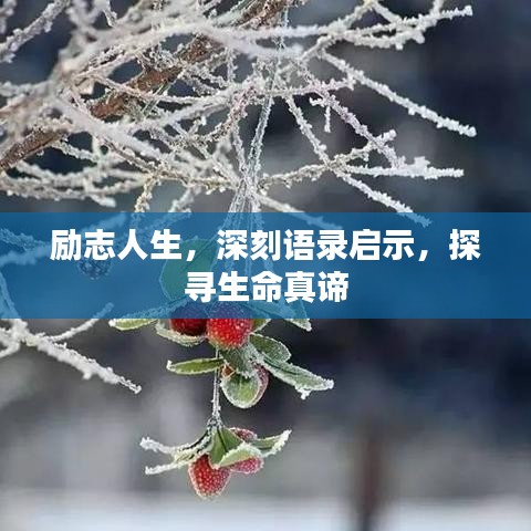 勵志人生，深刻語錄啟示，探尋生命真諦
