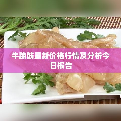 牛蹄筋最新價格行情及分析今日報告