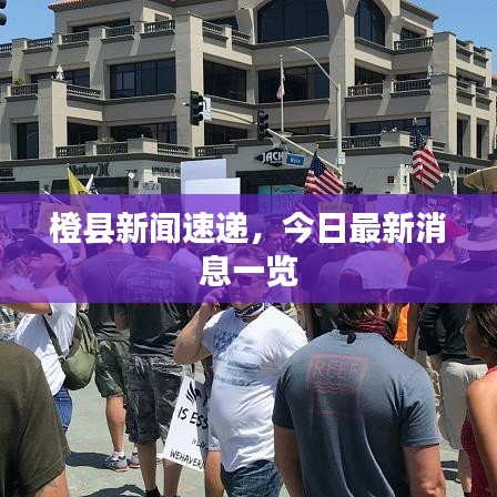 橙縣新聞速遞，今日最新消息一覽