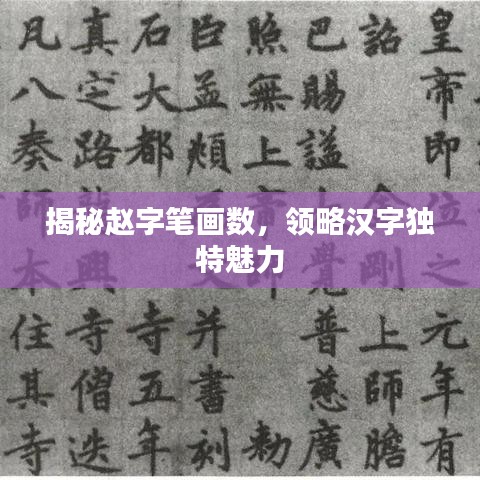 揭秘趙字筆畫(huà)數(shù)，領(lǐng)略漢字獨(dú)特魅力