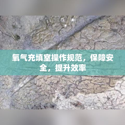 氧氣充填室操作規(guī)范，保障安全，提升效率