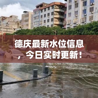 德慶最新水位信息，今日實(shí)時(shí)更新！