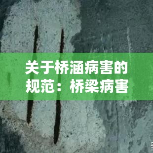 關于橋涵病害的規(guī)范：橋梁病害和處理方法 