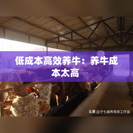 還淳反素 第3頁