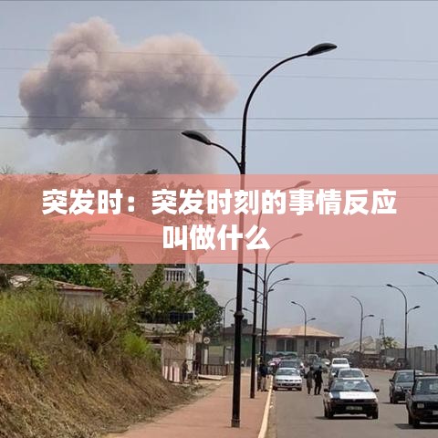 突發(fā)時：突發(fā)時刻的事情反應(yīng)叫做什么 