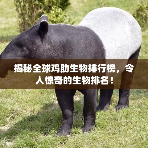 揭秘全球雞肋生物排行榜，令人驚奇的生物排名！