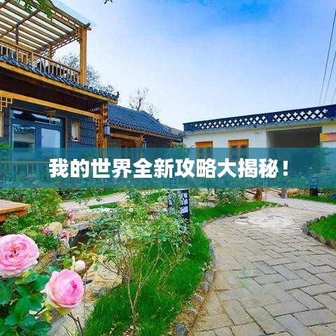 我的世界全新攻略大揭秘！