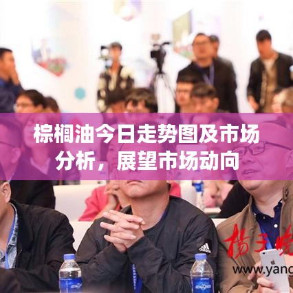 棕櫚油今日走勢(shì)圖及市場(chǎng)分析，展望市場(chǎng)動(dòng)向