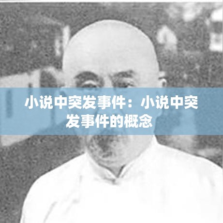 小說中突發(fā)事件：小說中突發(fā)事件的概念 