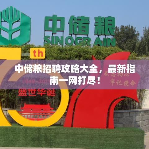 中儲糧招聘攻略大全，最新指南一網(wǎng)打盡！