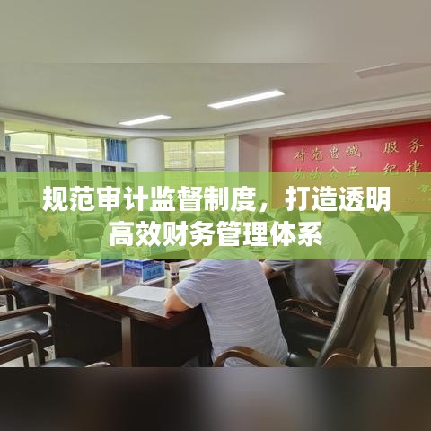規(guī)范審計(jì)監(jiān)督制度，打造透明高效財(cái)務(wù)管理體系