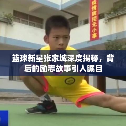 籃球新星張家城深度揭秘，背后的勵(lì)志故事引人矚目
