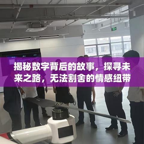 烏鳥(niǎo)之情 第3頁(yè)