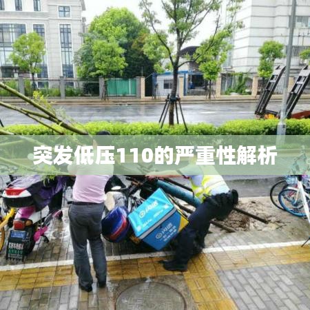 窮鳥入懷 第3頁