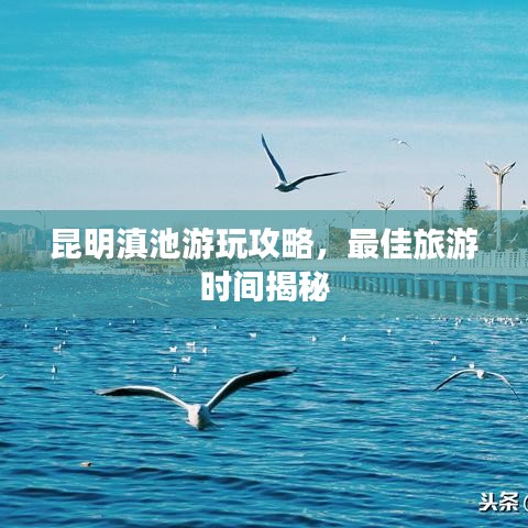 昆明滇池游玩攻略，最佳旅游時間揭秘