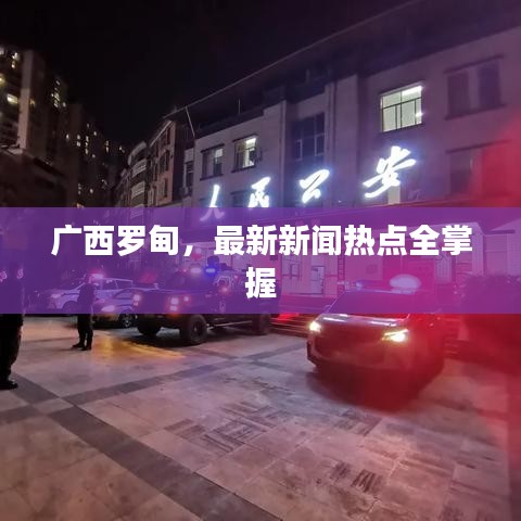 廣西羅甸，最新新聞熱點(diǎn)全掌握