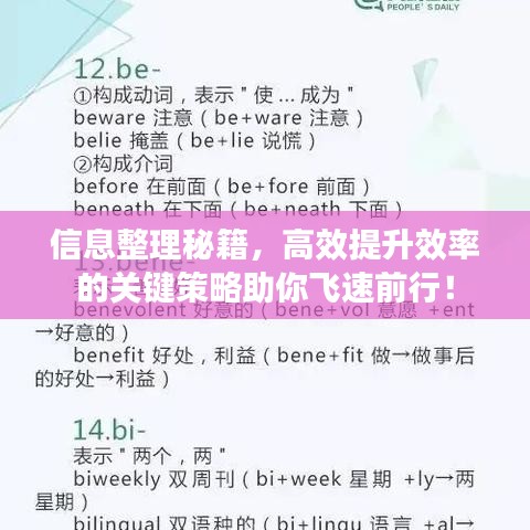 信息整理秘籍，高效提升效率的關(guān)鍵策略助你飛速前行！