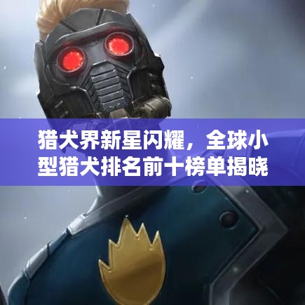 獵犬界新星閃耀，全球小型獵犬排名前十榜單揭曉！