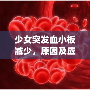 少女突發(fā)血小板減少，原因及應(yīng)對方法解析