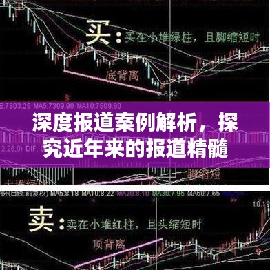 深度報道案例解析，探究近年來的報道精髓