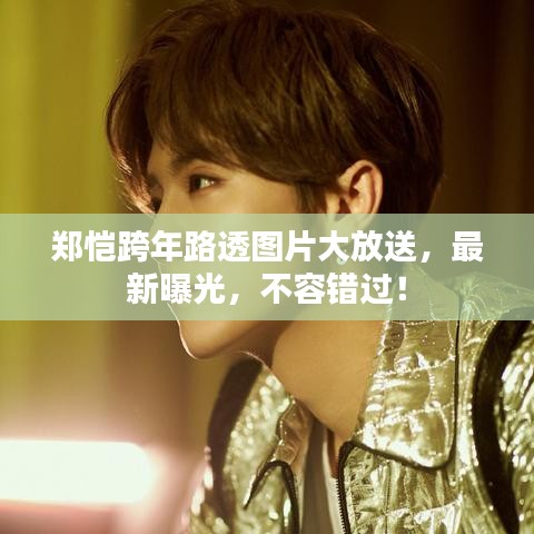 鄭愷跨年路透圖片大放送，最新曝光，不容錯過！