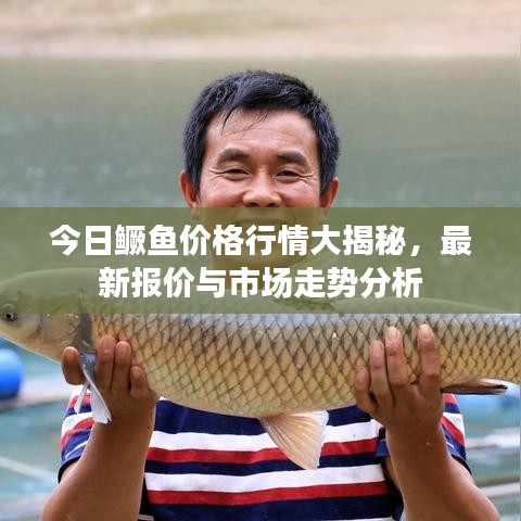 就事論事 第3頁