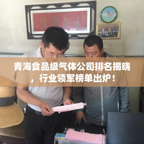 青海食品級(jí)氣體公司排名揭曉，行業(yè)領(lǐng)軍榜單出爐！