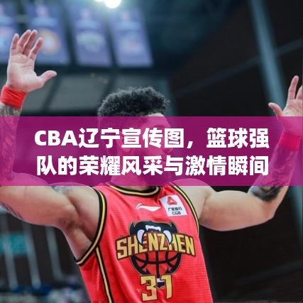 CBA遼寧宣傳圖，籃球強(qiáng)隊(duì)的榮耀風(fēng)采與激情瞬間