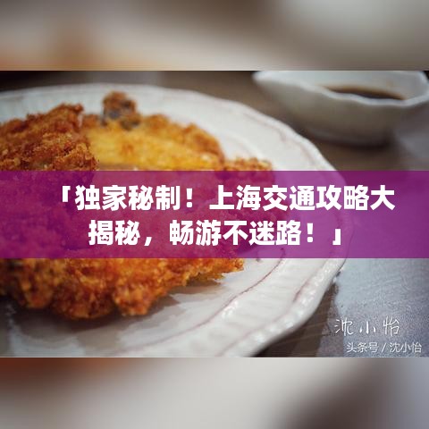 「獨家秘制！上海交通攻略大揭秘，暢游不迷路！」